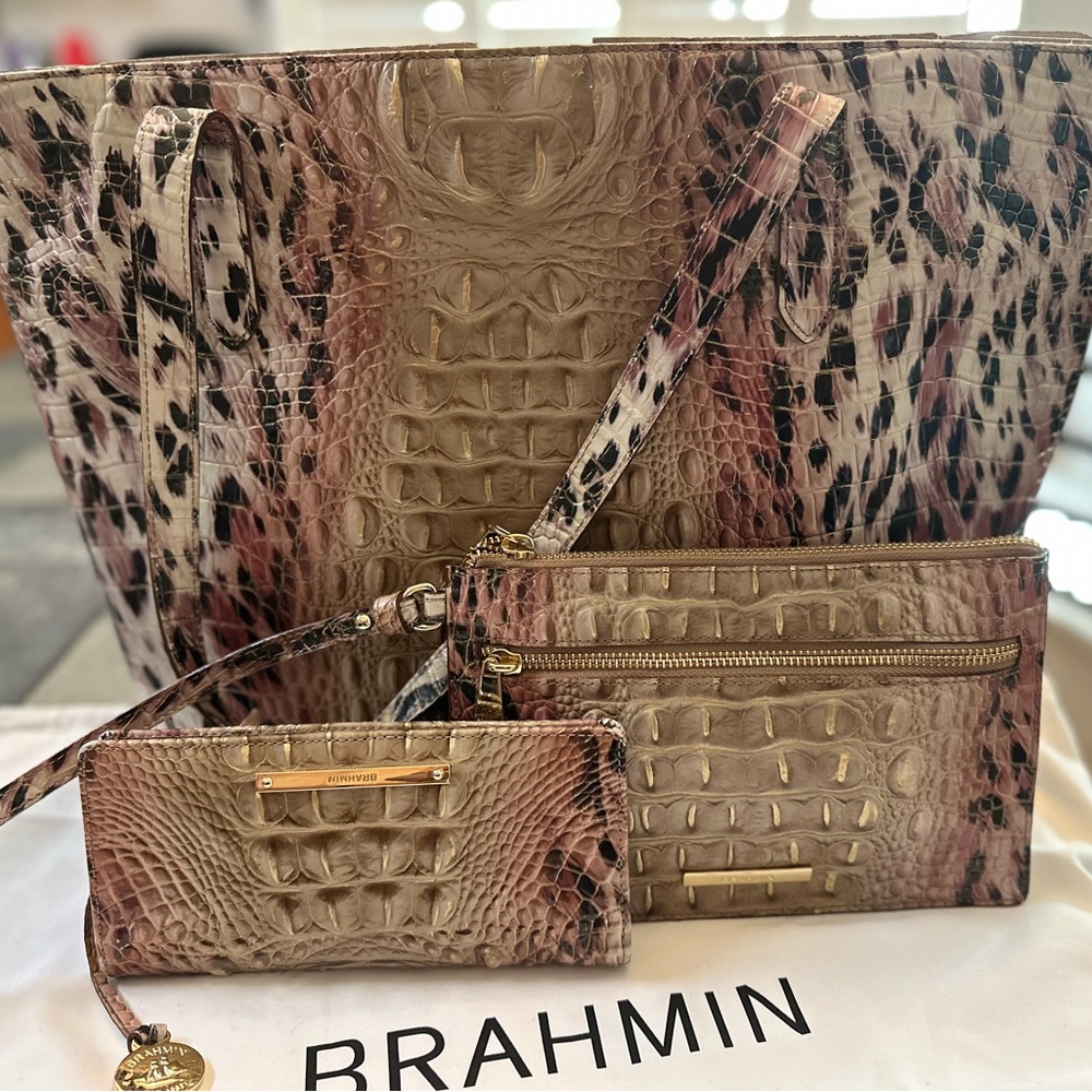 Brahmin brooke prowl ombre Melbourne and Ady wallet